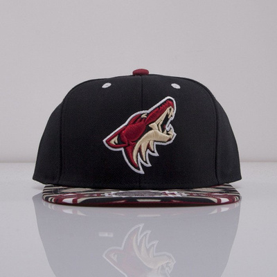 Mitchell & Ness cap snapback Phoenix Coyotes black GTech EU250