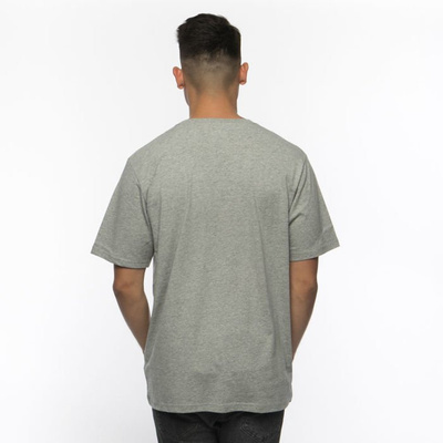 Koszulka Dickies Stockdale T-shirt szara