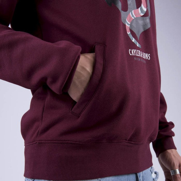 Bluza Cayler & Sons WHITE LABEL Sweatshirt WL Anchored Hoody bordeaux / mc
