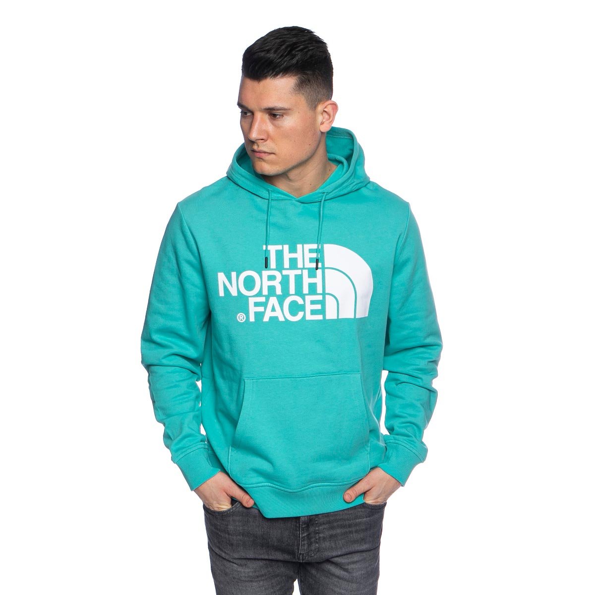 the north face standard online
